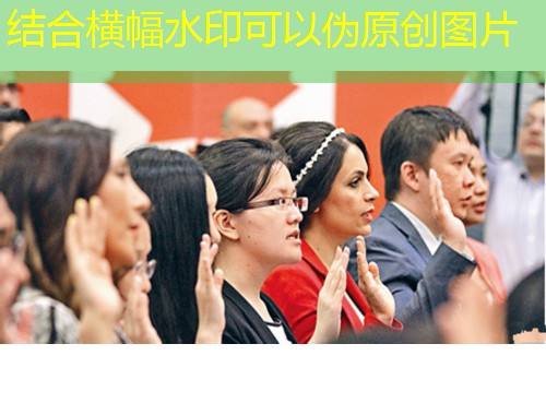 厦门移民公司：如何选到真正懂你的“出海搭子”？